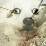 Fanbase profile picture for @kondo