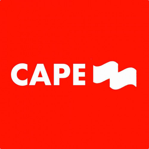 Fanbase profile picture for @cape