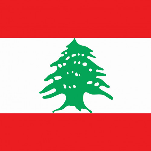 Fanbase profile picture for @lebanon