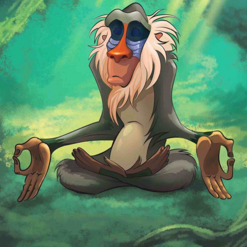 Fanbase profile picture for @monkeys