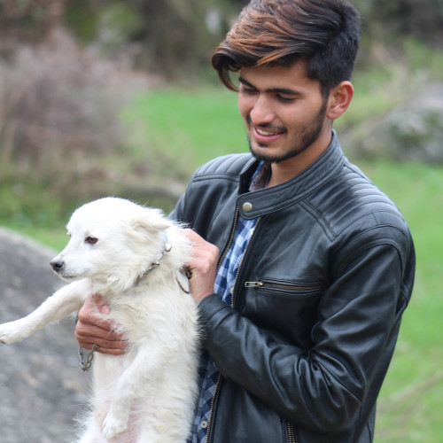 Fanbase profile picture for @faisal