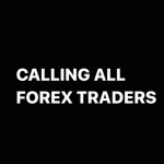 Fanbase profile picture for @forex