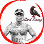 Fanbase profile picture for @rican