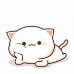 Fanbase profile picture for @Squish