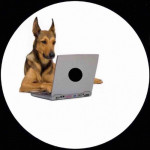 Fanbase profile picture for @woof