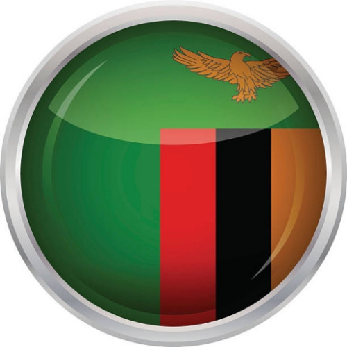 Fanbase profile picture for @zambia