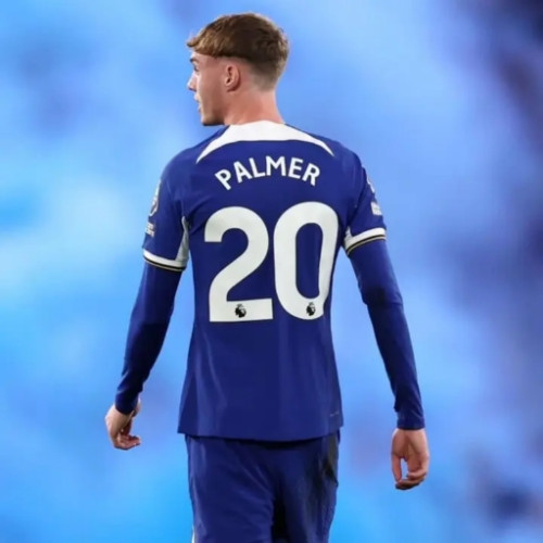 Fanbase profile picture for @palmer