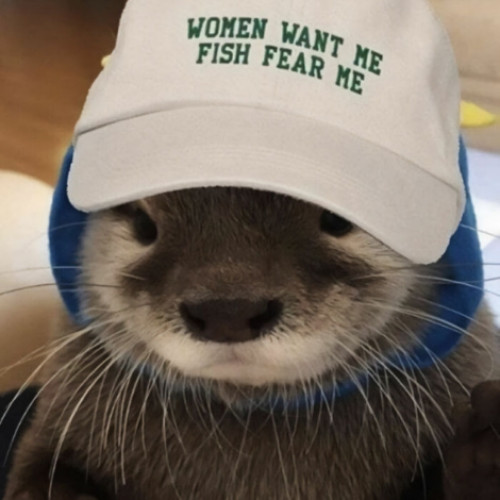 Fanbase profile picture for @otter