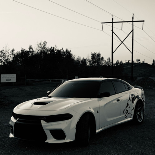 Fanbase profile picture for @Swinger
