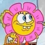 Fanbase profile picture for @kina