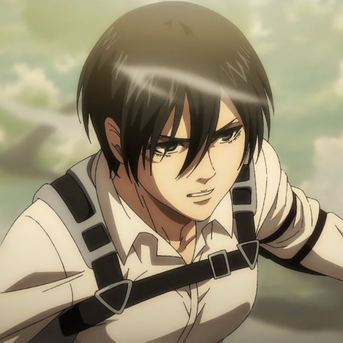 Fanbase profile picture for @mikasa