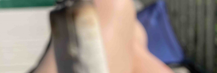 Fanbase banner for @cameltoe