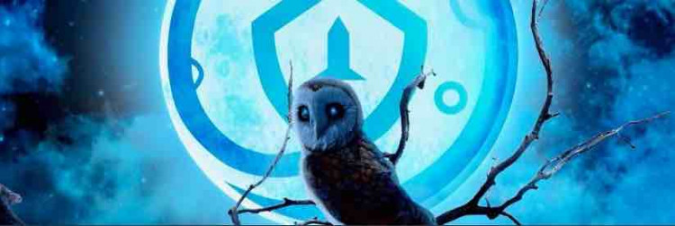 Fanbase banner for @bi