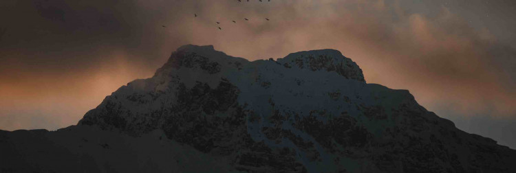 Fanbase banner for @jo