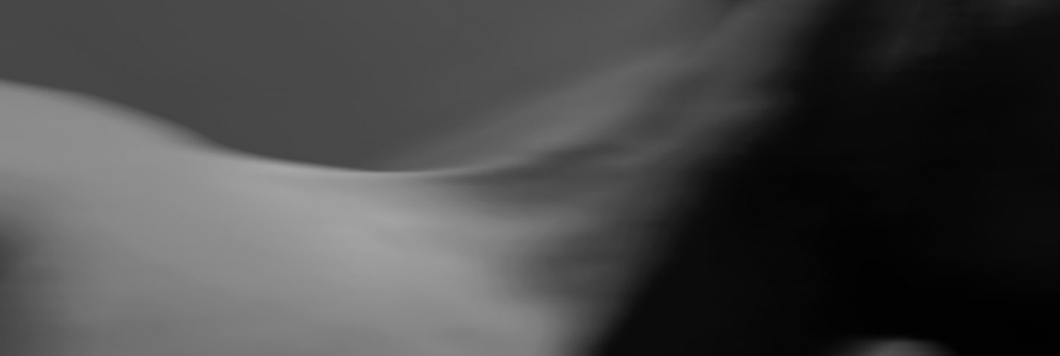 Fanbase banner for @proxy