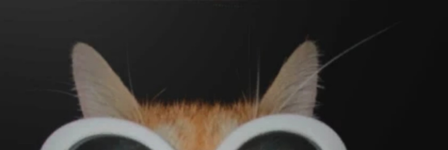 Fanbase banner for @plot
