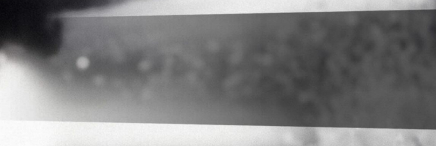 Fanbase banner for @dll