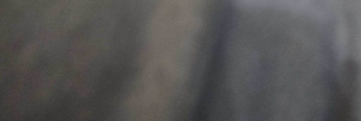 Fanbase banner for @bannister