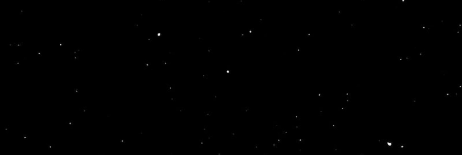 Fanbase banner for @uzi