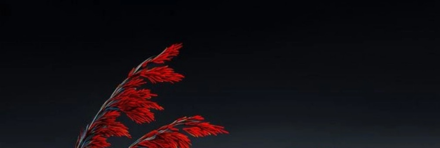 Fanbase banner for @Roman123