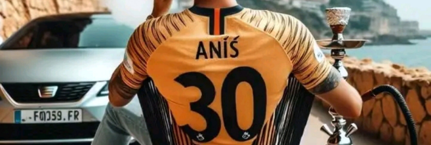 Fanbase banner for @ansi