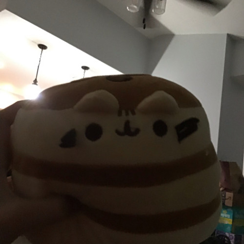 Fanbase profile picture for @pancake