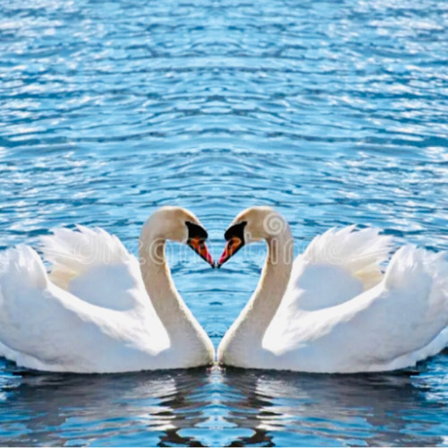Fanbase profile picture for @swan