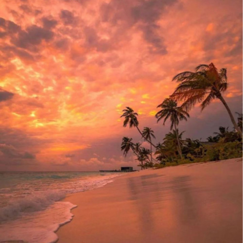 Fanbase profile picture for @maldives