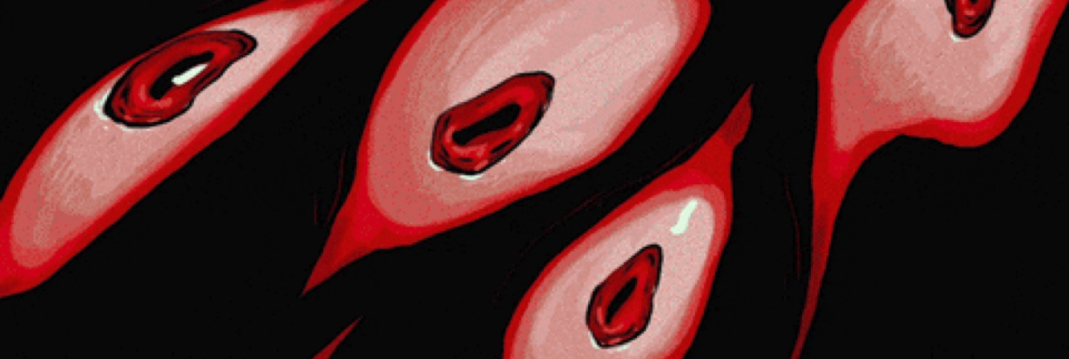 Fanbase banner for @synth