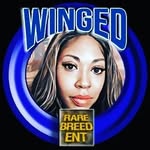 Fanbase profile picture for @winged