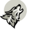 Fanbase profile picture for @Swarm
